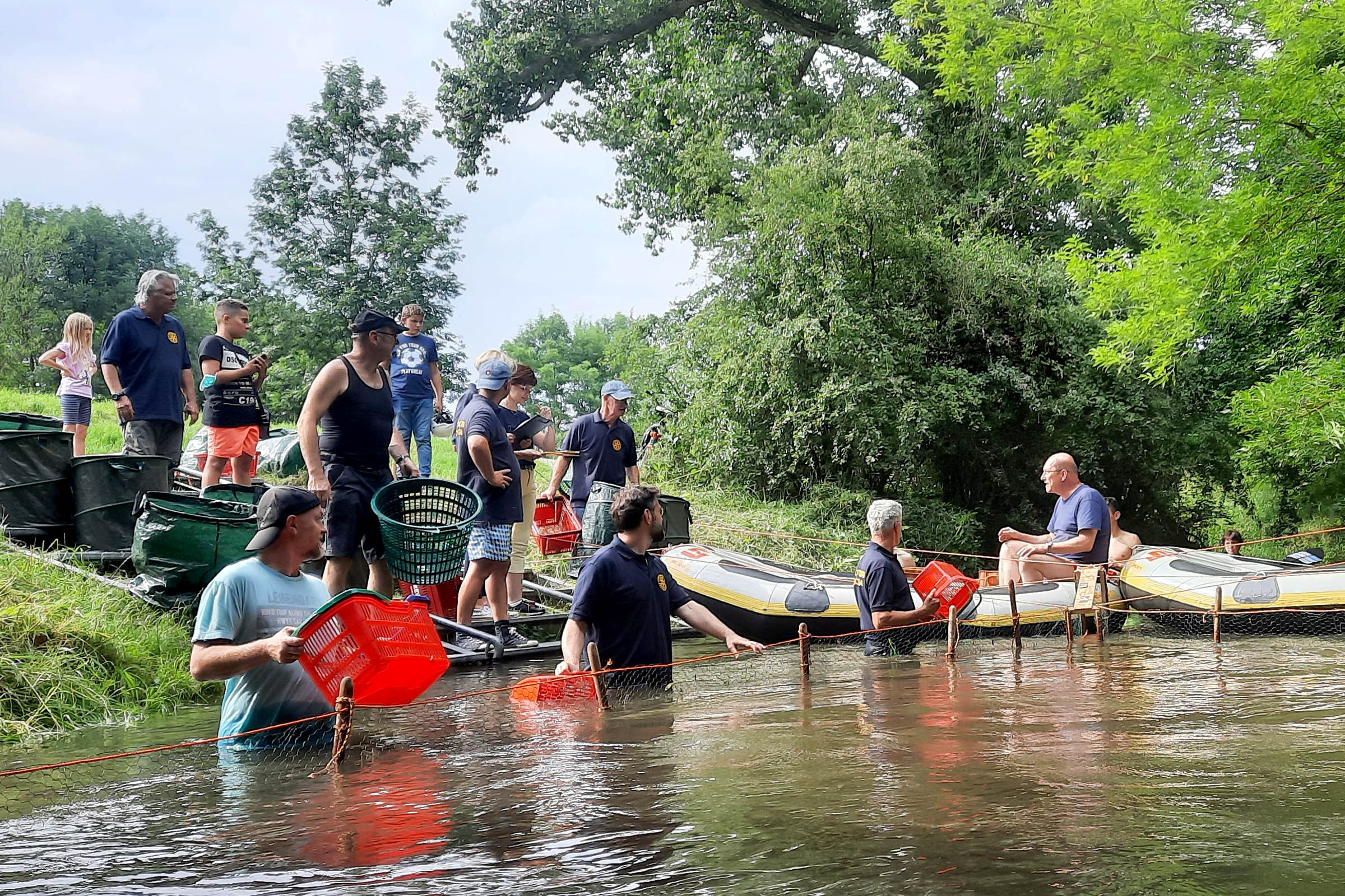 Rotary Distrikt 1950 - Bildergalerie